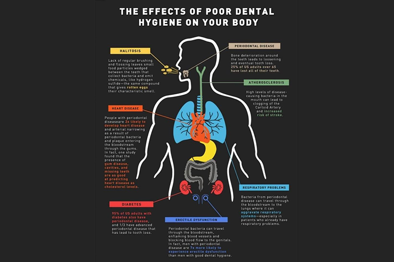 Holistic Dental Arts Special Offer