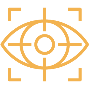 Vision icon