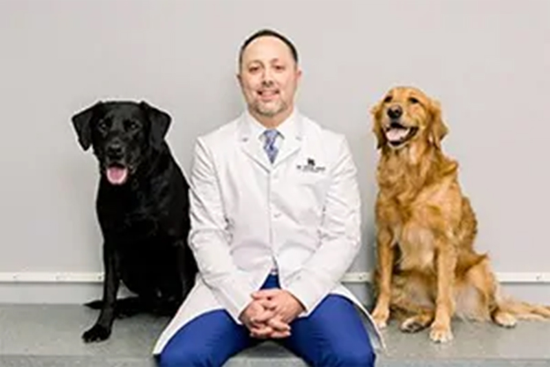 Meet Dr. Cody R Krech, DMD in Galesburg