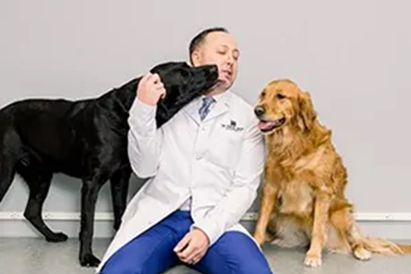 Meet Dr. Cody R Krech, DMD in Galesburg