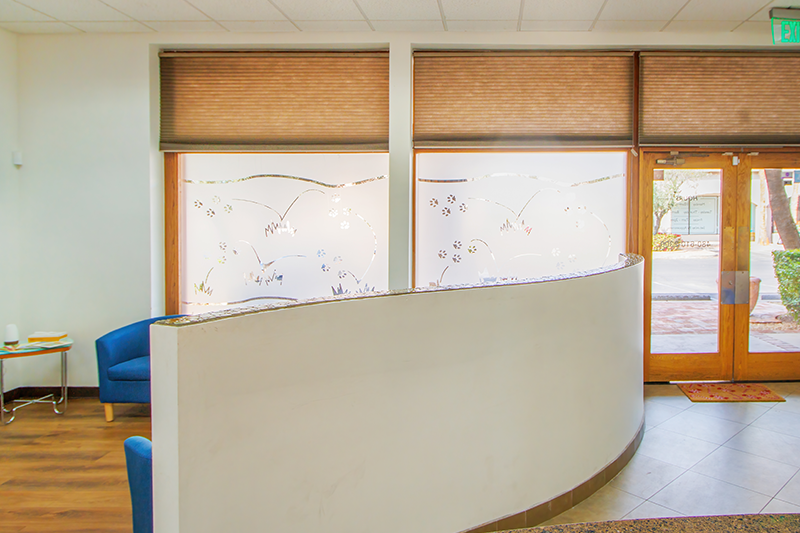 Office Tour