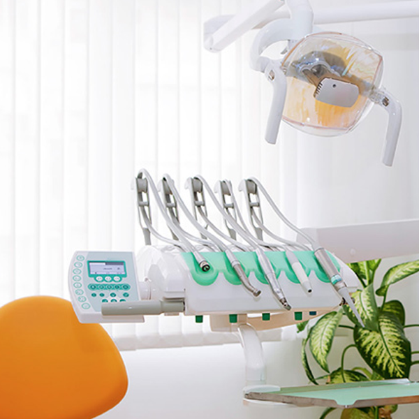 Top Rated Holistic Dentist